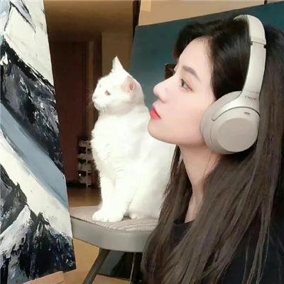 小旅人